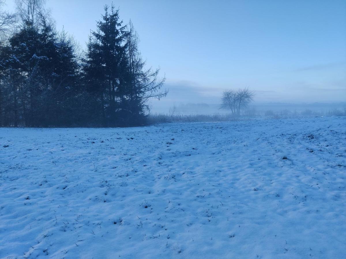 Osada Karszewo, Sauna Bania, Ryby エクステリア 写真