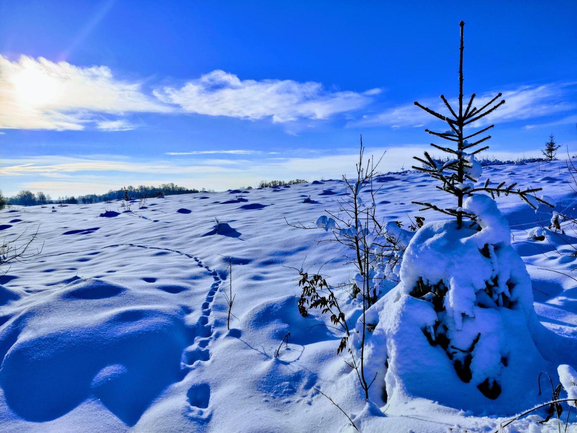 Osada Karszewo, Sauna Bania, Ryby エクステリア 写真