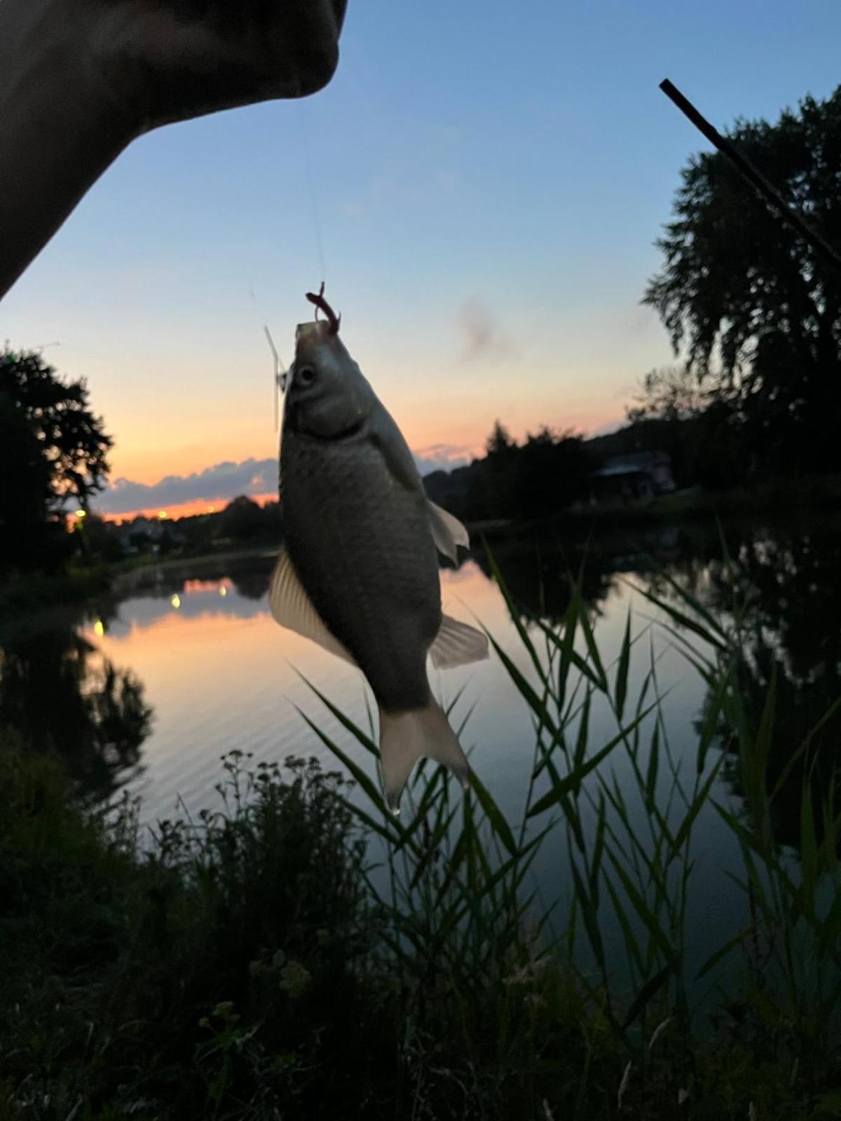Osada Karszewo, Sauna Bania, Ryby エクステリア 写真